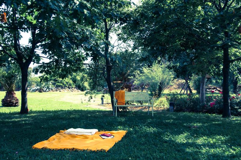 area relax